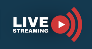 Backgammon Live Stream